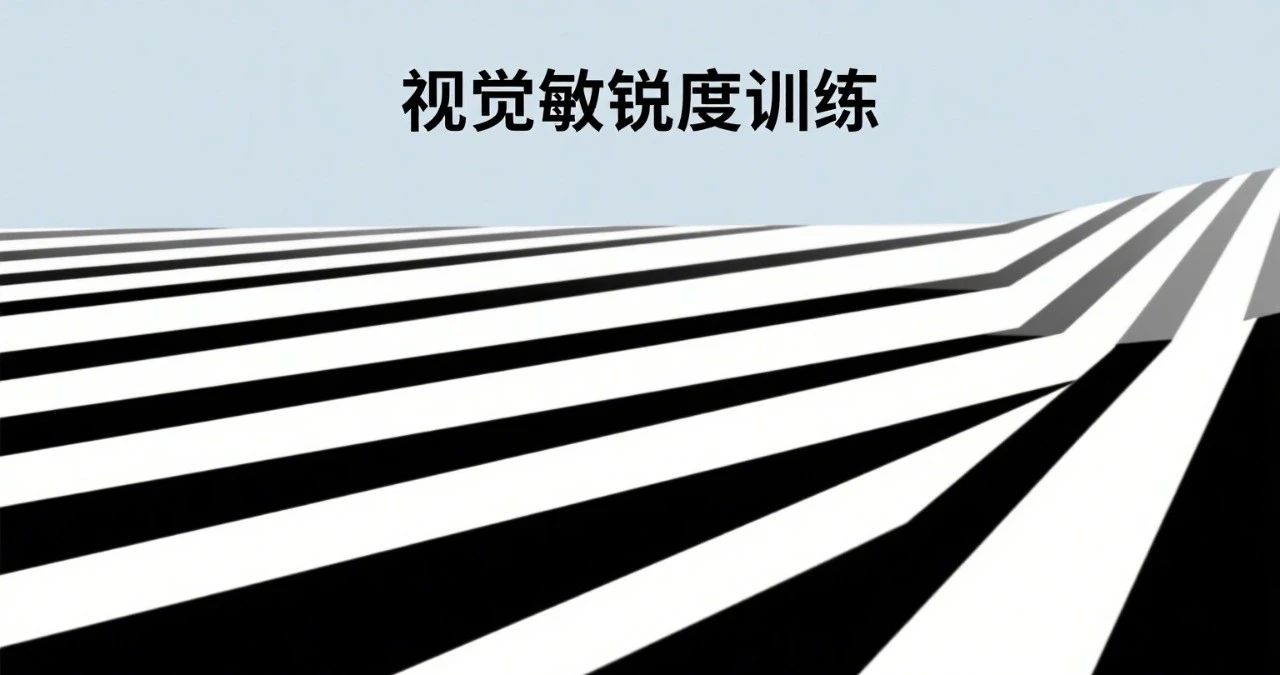 视觉训练