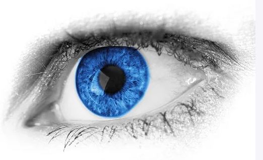 pixabay-眼睛