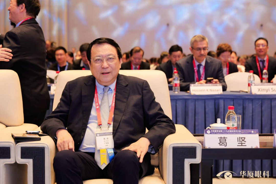 华厦眼科医院集团战略发展与学术委员会主任葛坚教授