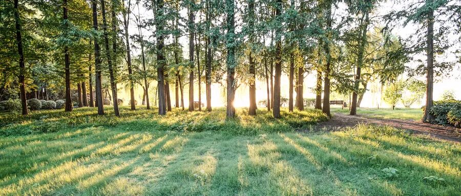 包图-丁达尔效应