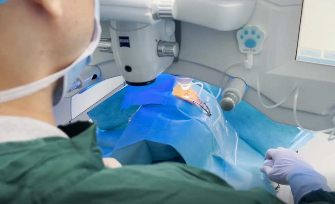 厦门眼科中心|眼科医生直言：这6类人千万别做近视激光手术！中1条就建议放弃……