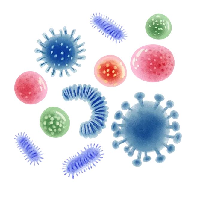 病菌